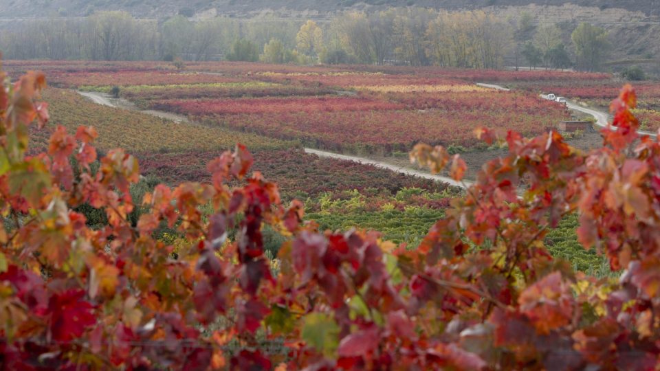 20071029-20071029-fer_9908