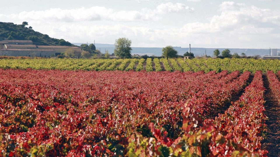 20071031-20071031-img_5955