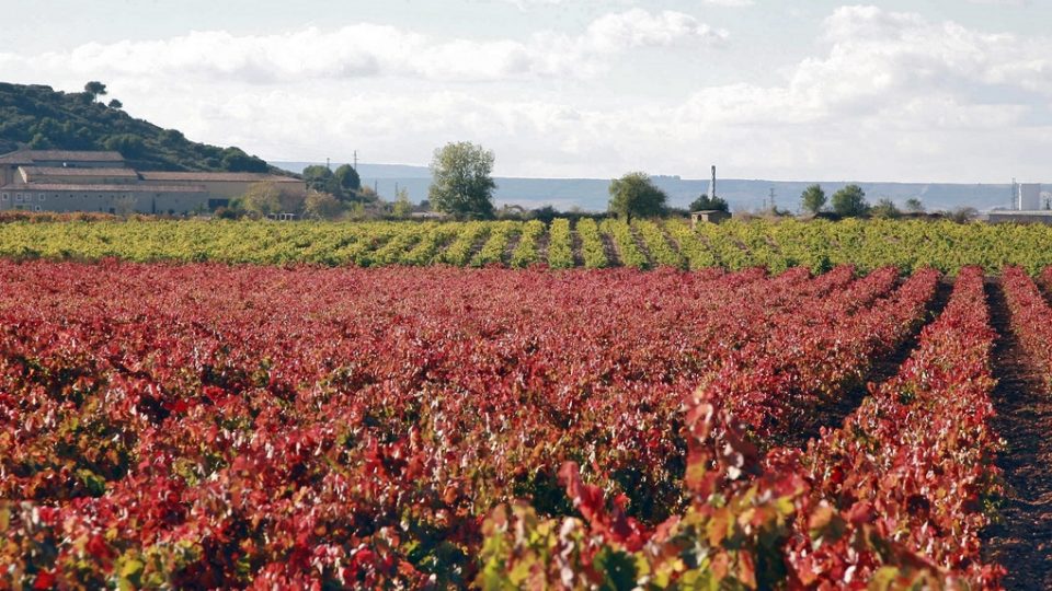 20071031-20071031-img_5955_1