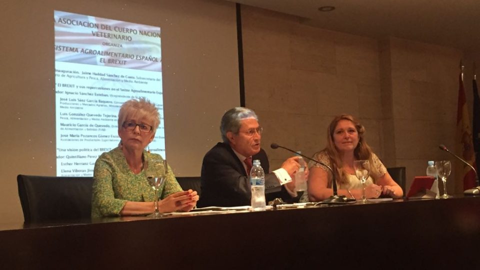 2017-06-05-photo-00000057