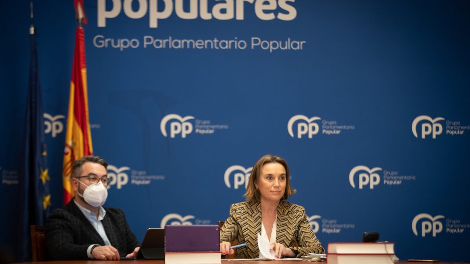 51073338887_964ace20ea_k