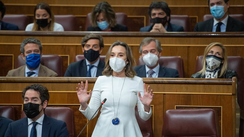 51856625232_0c172434e1_c