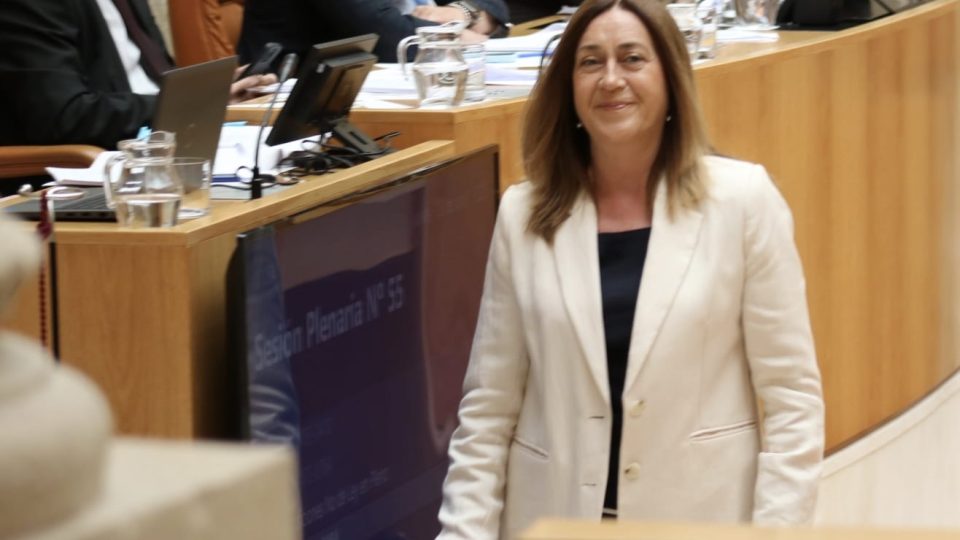 BEGOÑA MARTÍNEZ ARREGUI