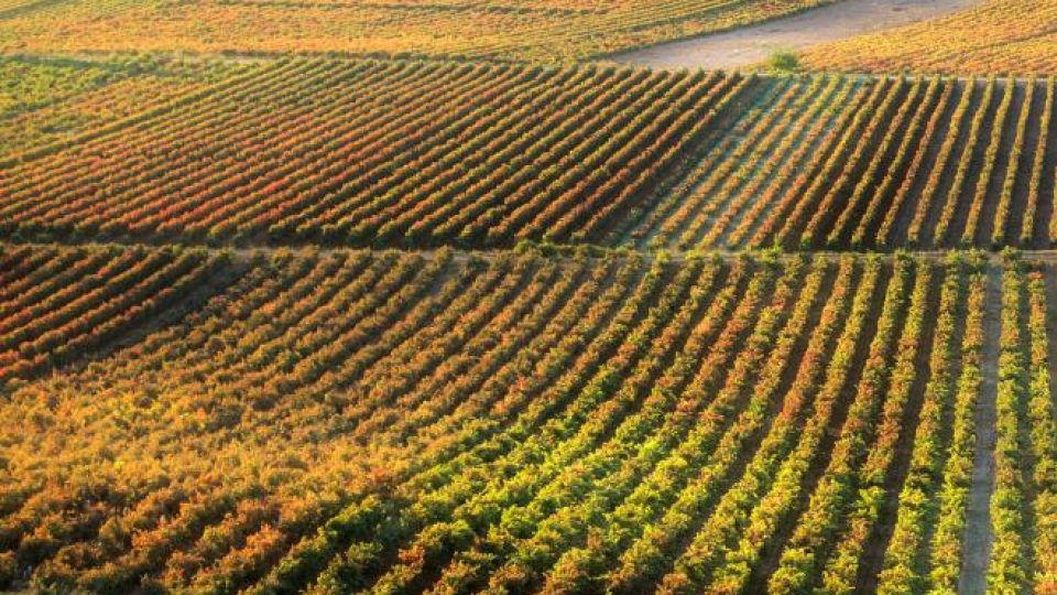 abf468ec-25cd-10e1-4e60-ff5ecf410c84_660