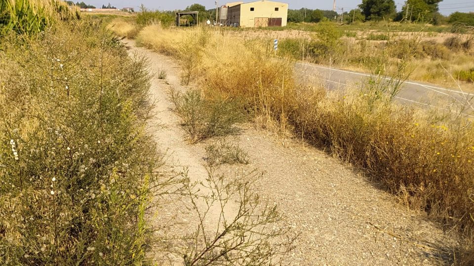 camino_de_santiago_del_ebro