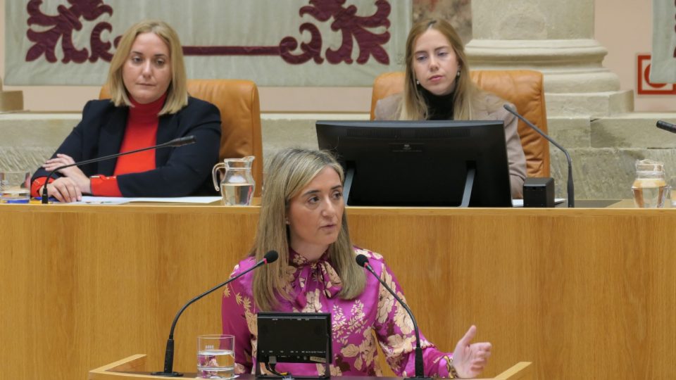 crisitina_maiso._pleno_ley_proteccion_paisaje