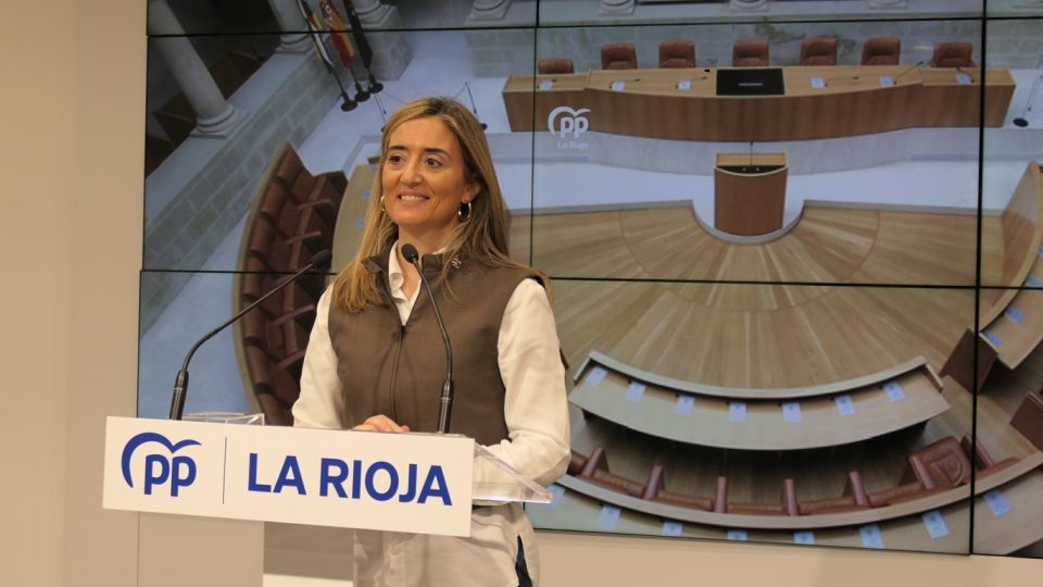 cristina_enmiendas_parciales