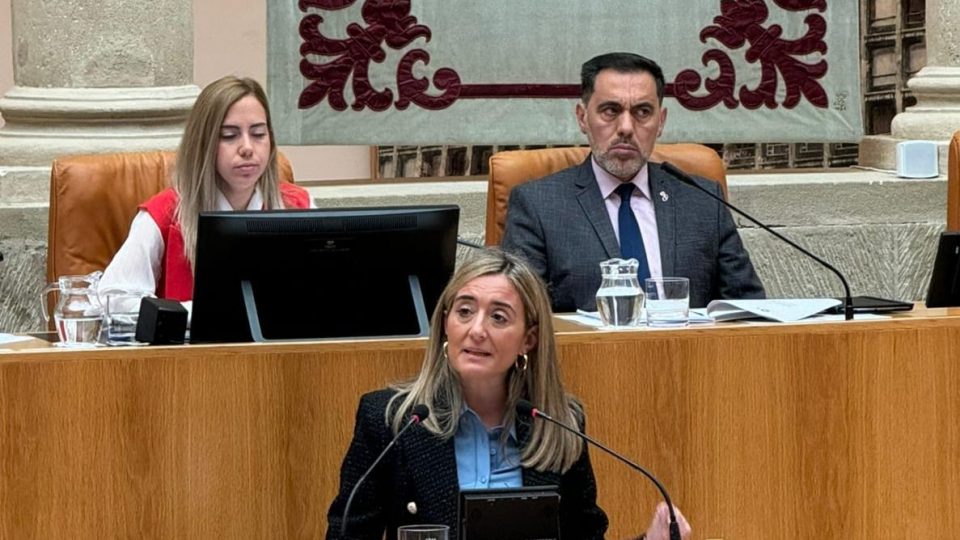 cristina_maiso._pleno._2_nov