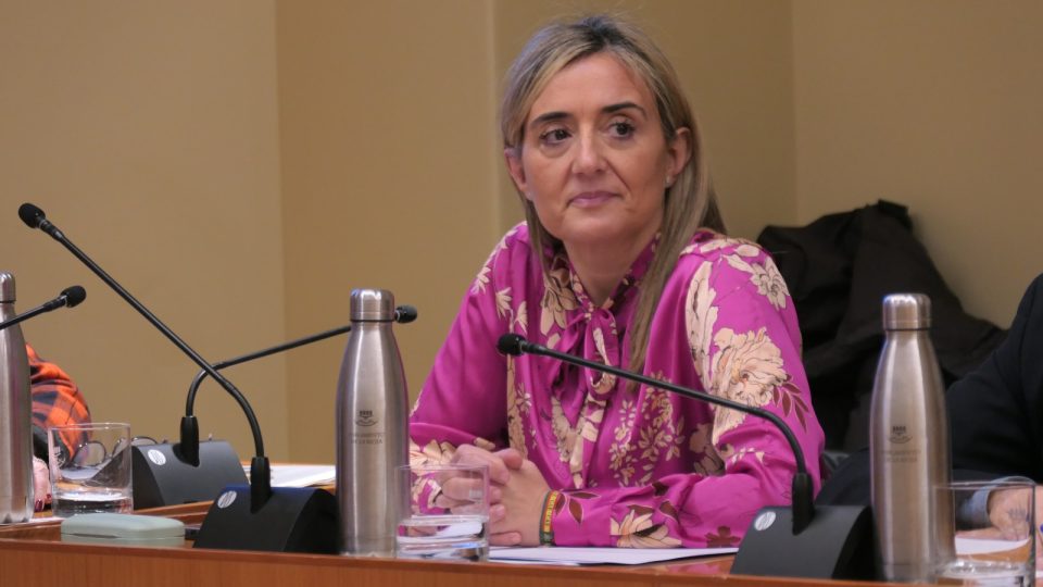 cristina_maiso_comparecencia_salud_2-2-24_0