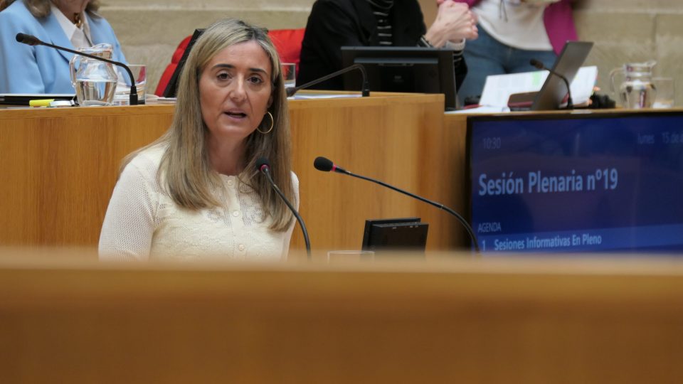 cristina_maiso_pleno_tauste-jundiz_2_