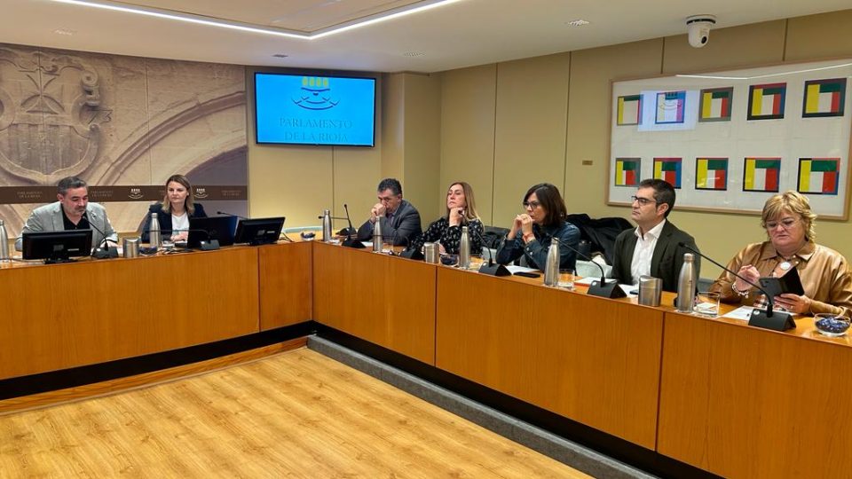 experta_comision_hacienda