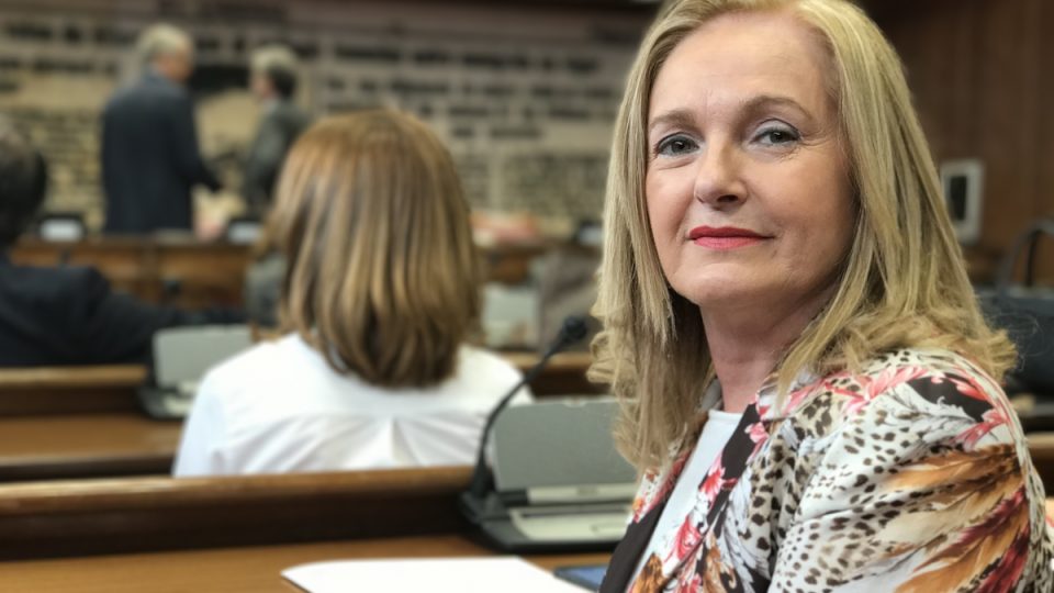 f.-mendiola-senado-09-05-17