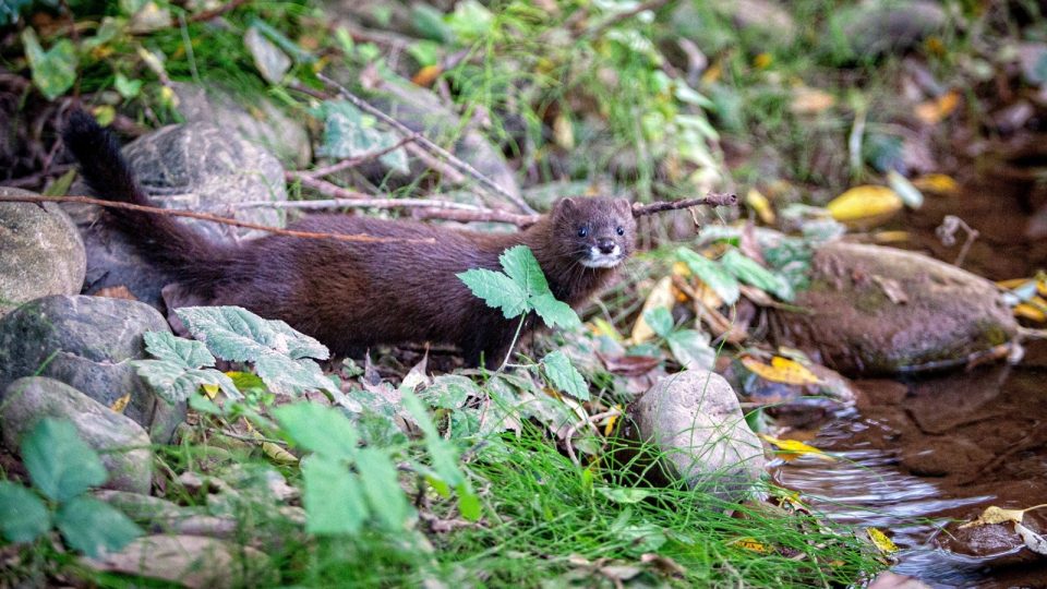 imagen_de_whatsapp_2024-02-28_a_las_15.38.56_6c9965dd