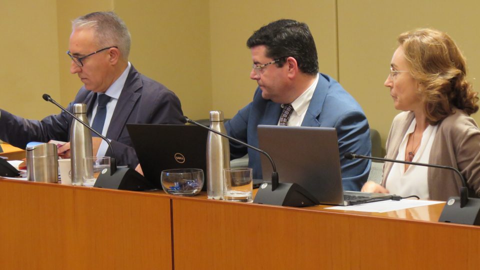 j.a.garrido-ptos._desarrollo_autonomico