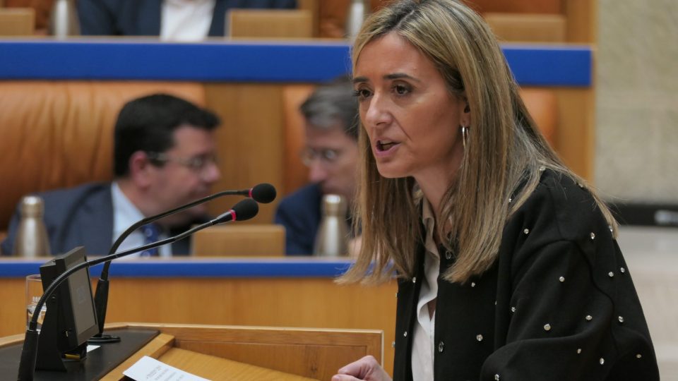 maiso_pleno_enmiendas