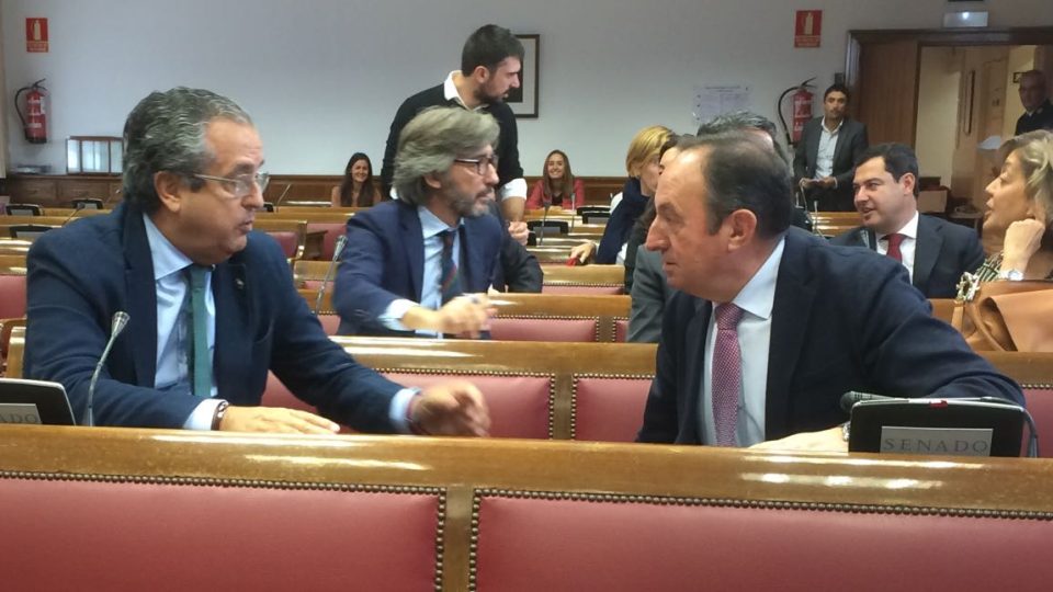 p-sanz-presidente-diputacion-permanente-25-10-16