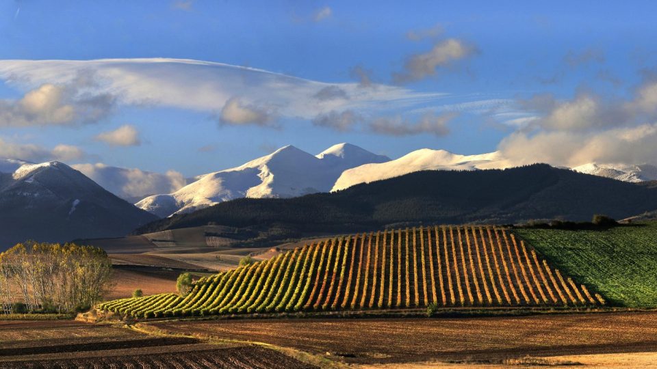 paisaje_nieve_y_vina