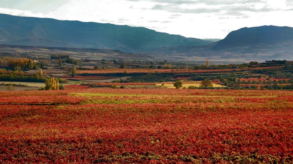 proteccion_paisaje_la_rioja