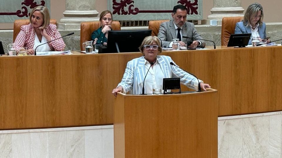 salud_mental_bastida