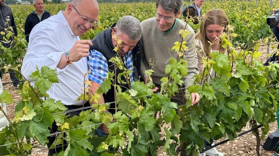 whatsapp_image_2023-05-15_at_13.52.28