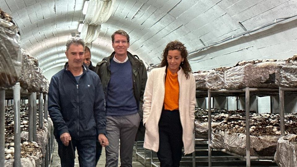 whatsapp_image_2023-05-16_at_13.32.48